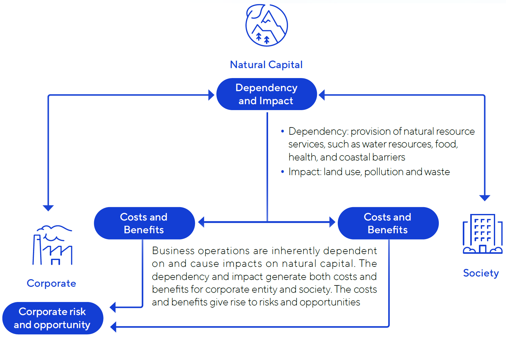 Graphic of Natural Capital Protocol
